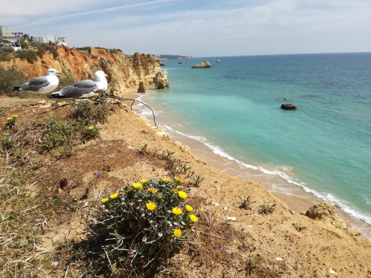 Apartamento Jeni Residencia Flamingo Portimao Exterior photo